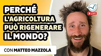 Matteo Mazzola