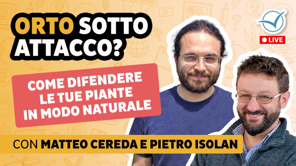 webinar con Matteo Cereda e Pietro Isolan